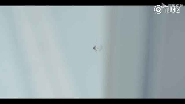 Xiaomi Mijia WX07ZM Mosquito Repellent Killer смотреть онлайн