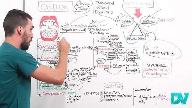 ¡IMPRESIONANTE!: Así DESTRUIS a la CANDIDA de tu CUERPO| NUNCA MÁS TENDRÁS CANDIDIASIS смотреть онлайн