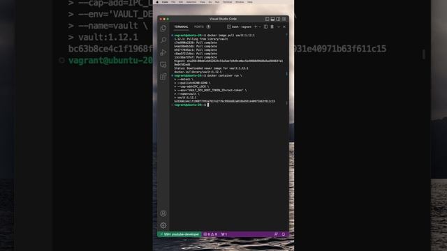 Run Vault in a Docker container for development смотреть онлайн