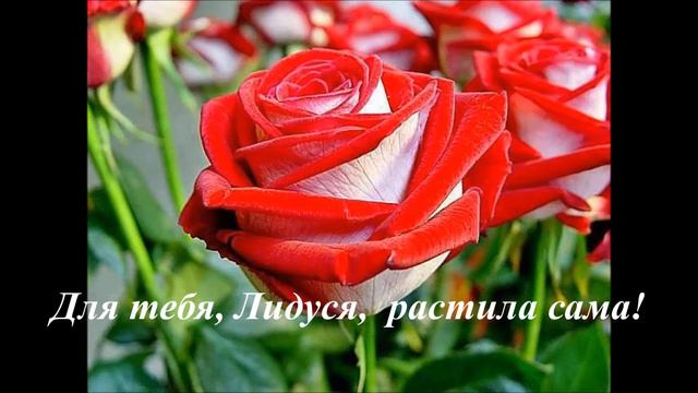 С днем рождения, дорогая Лидочка! смотреть онлайн