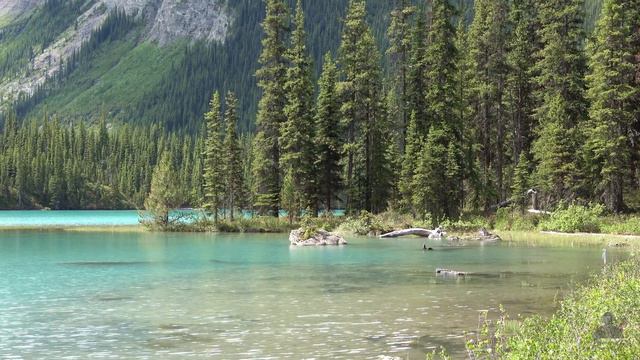 Maligne Lake Spirit Island Cruise, Jasper National Park, Rocky Mountains - Alberta Canada 4K смотреть онлайн