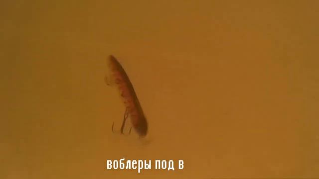 Копия воблера PONTOON21 MOBY DICK# Алиэкспресс