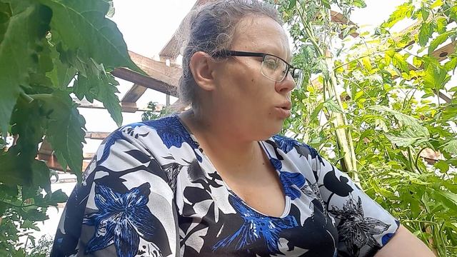 Цветочки сохнут и отваливаются. Причины плохой завязываемости томатов. Как исправить. смотреть онлайн