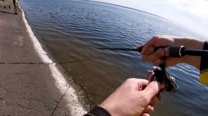 Отводной поводок со спиннингом Crazy Fish Arion 832LS.