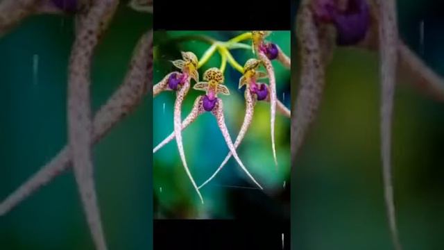 26 май 2018 смотреть онлайн