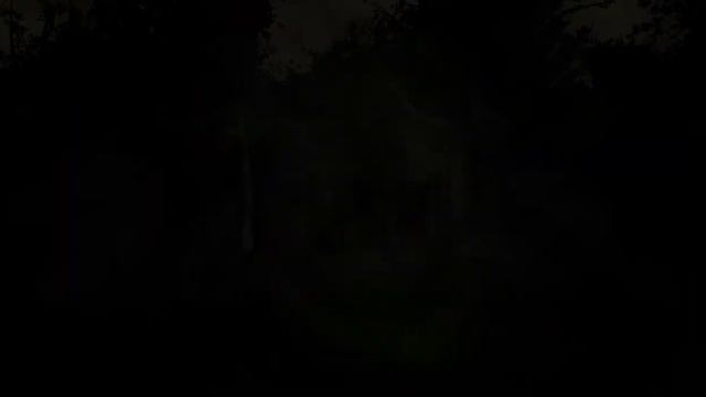 Slender: The Eight Pages | Слэндер 8 страниц смотреть онлайн