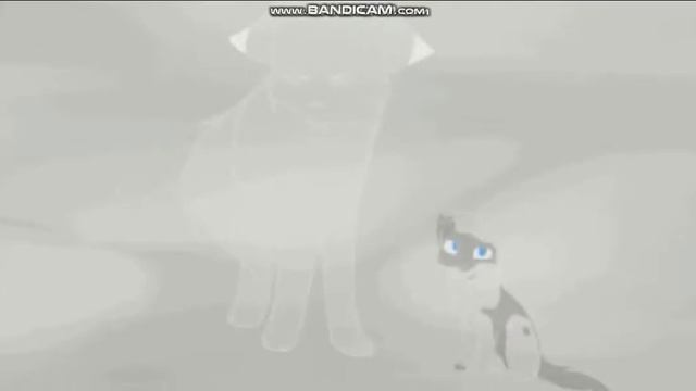 Коты воители Eqo (ч о )