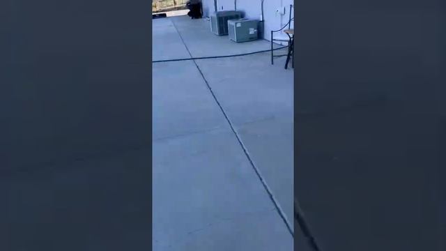 FAMISTAR WEATHER STATION: Review смотреть онлайн