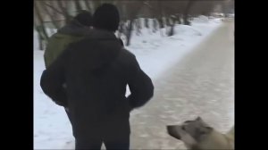 Поздравление с 8 марта! Лучшее поздравление на все времена.