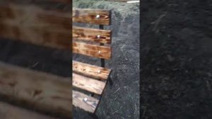 Скамейка из профильной трубы