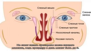 Доктор Комаровский о массаже слезного канала у новорожденных