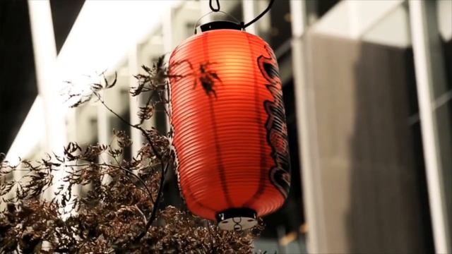 Master Chris Leong Tit Tar 跌打 World Tour CLM Tit Tar  Melbourne, Australia