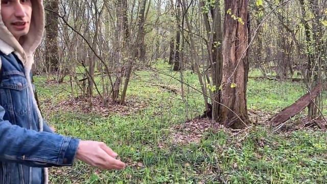 Учусь Метать Топор за 24 часа смотреть онлайн