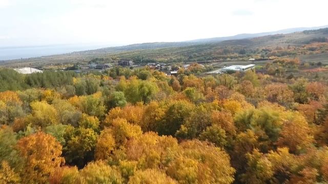 [Парк отдыха "Хвалынь"] Осенние пейзажи с воздуха смотреть онлайн