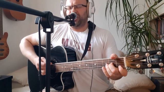 Покаяние/Голосую (А.Я. Розенбаум) кавер смотреть онлайн