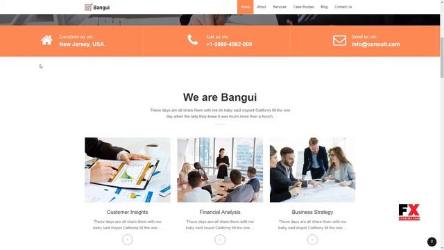 Bangui - Business Consulting WordPress theme Ashley Anderson смотреть онлайн