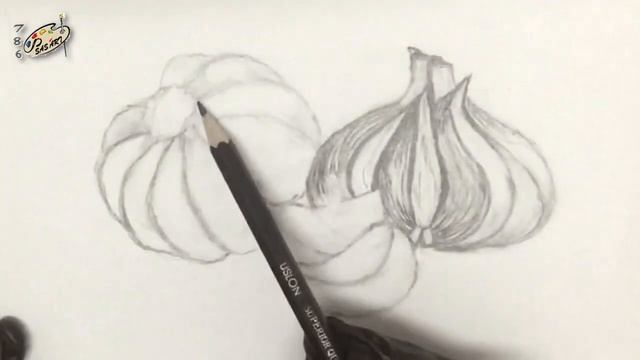 How to Draw a Garlic with Pencil / Garlic Drawing / Easy Tutorial смотреть онлайн