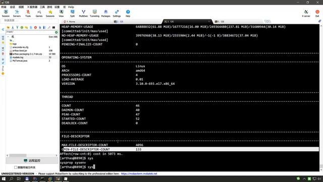 11 jvm相关命令之：jvm、sysprop смотреть онлайн