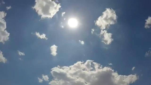 С Лёшкою прогулки Сирень смотреть онлайн