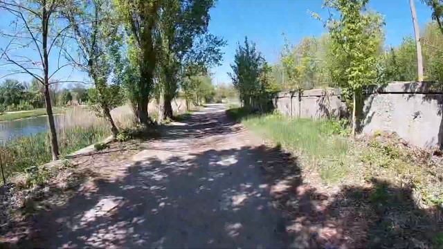 Уличное искусство Сальвадор Дали, Пикассо смотреть онлайн