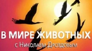 В мире животных с Николаем Дроздовым 2005 г   Выпуск - 14