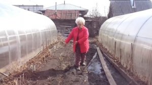 ЕСЛИ ДВЕ ТЕПЛИЦЫ РЯДОМ - НА КАКОМ РАССТОЯНИИ? Ольга Чернова.