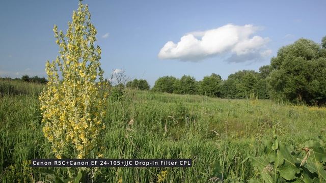 CPL-Filter JJC Replaces Drop-In Filter Adapter EF/RF Canon R5 C Sample Footage