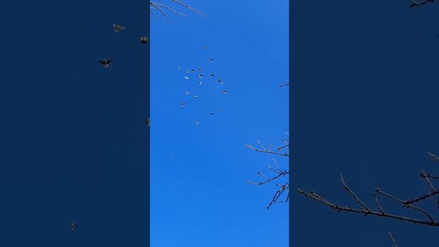 11 ноября 2021 г. смотреть онлайн