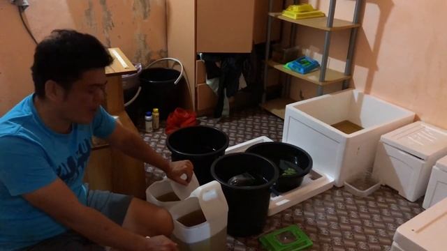 DIY su tank & unboxing multicolour galaxy bettas смотреть онлайн