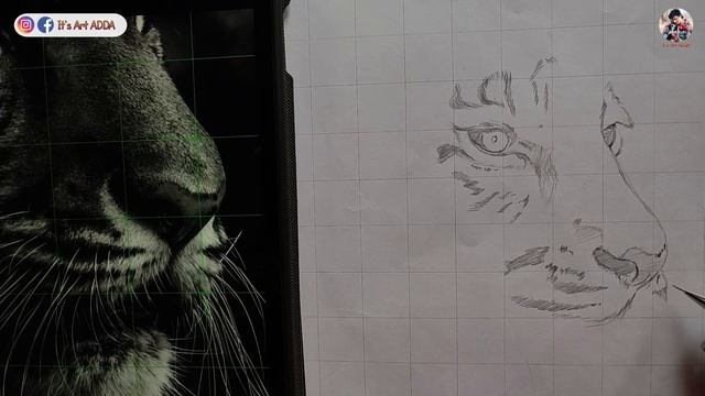 How To Draw Tiger , Realistic Tiger Drawing | Step By Step Outline Tutorial ?? #Realistic_Drawing смотреть онлайн