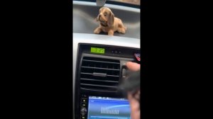 Некоторые функции Hyundai Tucson 1 поколения