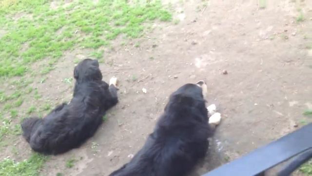 Что вы знаете о синхронности смотреть онлайн