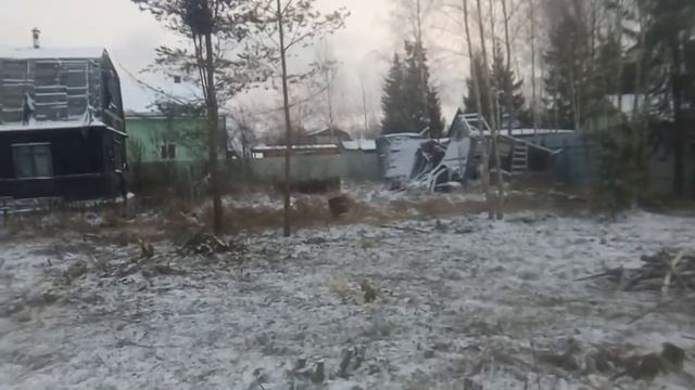 Уборка, корчевка, обработка и разработка участка Гатчинский район пос.  Новый Учхоз.