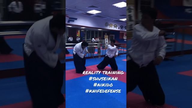 #Shuseikan #Aikido #Knifedefense #Realitytraining смотреть онлайн