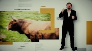Серия 6. Евразия: Большие и маленькие