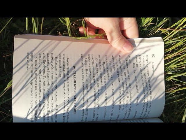 "Звёздная бабочка" Бернар Вербер. Продолжение следует. Стр 62-76 смотреть онлайн