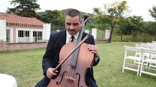 DANCE MONKEY - Tones And I (cover)