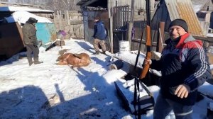 Стреляем кабана пулей, Иж 27- 16калибра.