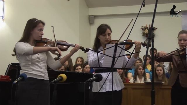 скрипки - Violin