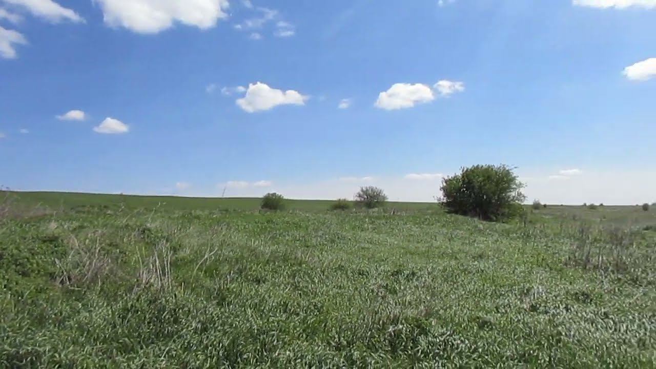 Исчезнувший хутор Белый (Ельшанский), Вольский район.