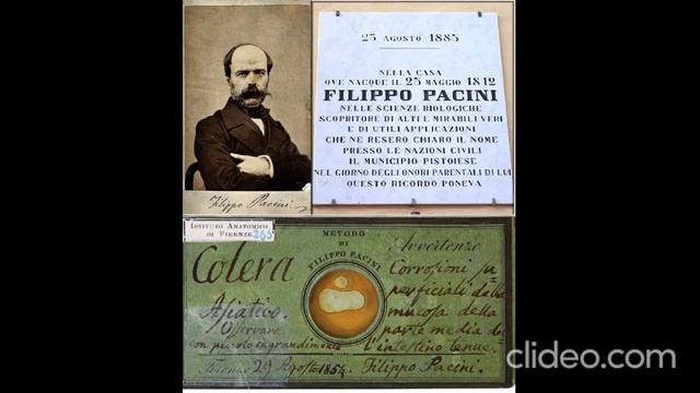 Pistoia_ Filippo Pacini, Robert Koch Il Colera E Il Vibrione (Via Bozzi 10)