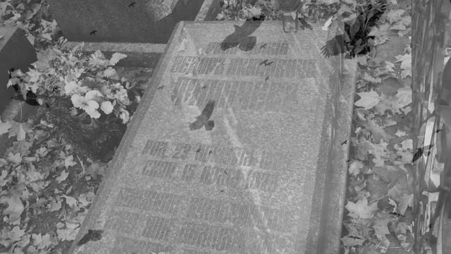 Ф. И. Тютчев. «Не рассуждай, не хлопочи...» смотреть онлайн