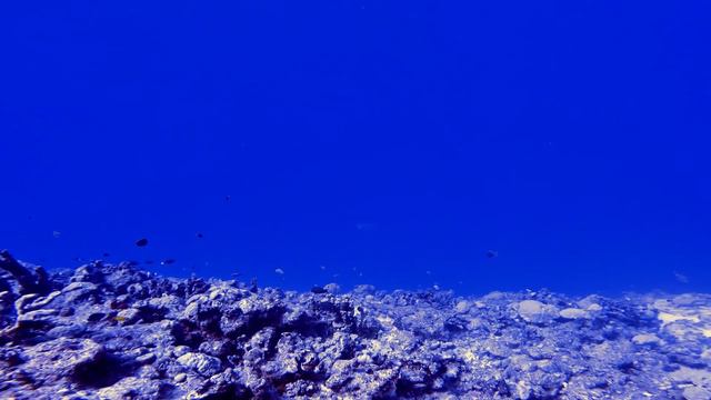 Exploring The Hidden Underwater Paradise: Diving At Ninni Island, Ocean Side Kwajalein Atoll Gopro8