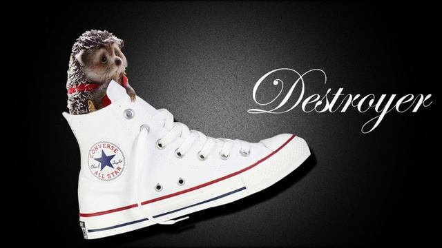 Кеды со звездами