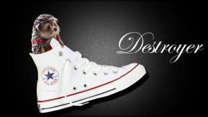 Кеды со звездами