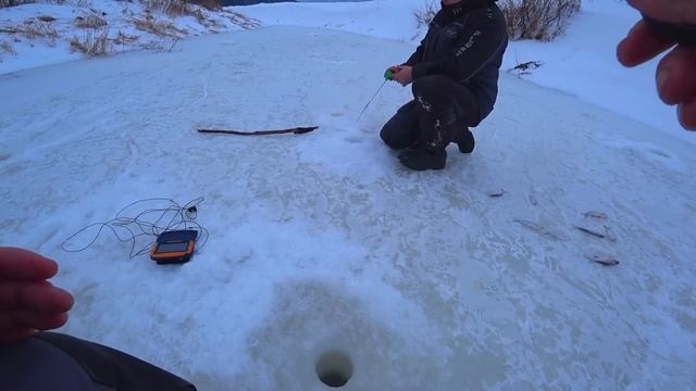НА ЧТО ЛОВИШЬ? ПОКАЖИ МОРМЫШКУ! Уловистая безмотылка и смена проводки дали результат! Зимняя рыбалк смотреть онлайн