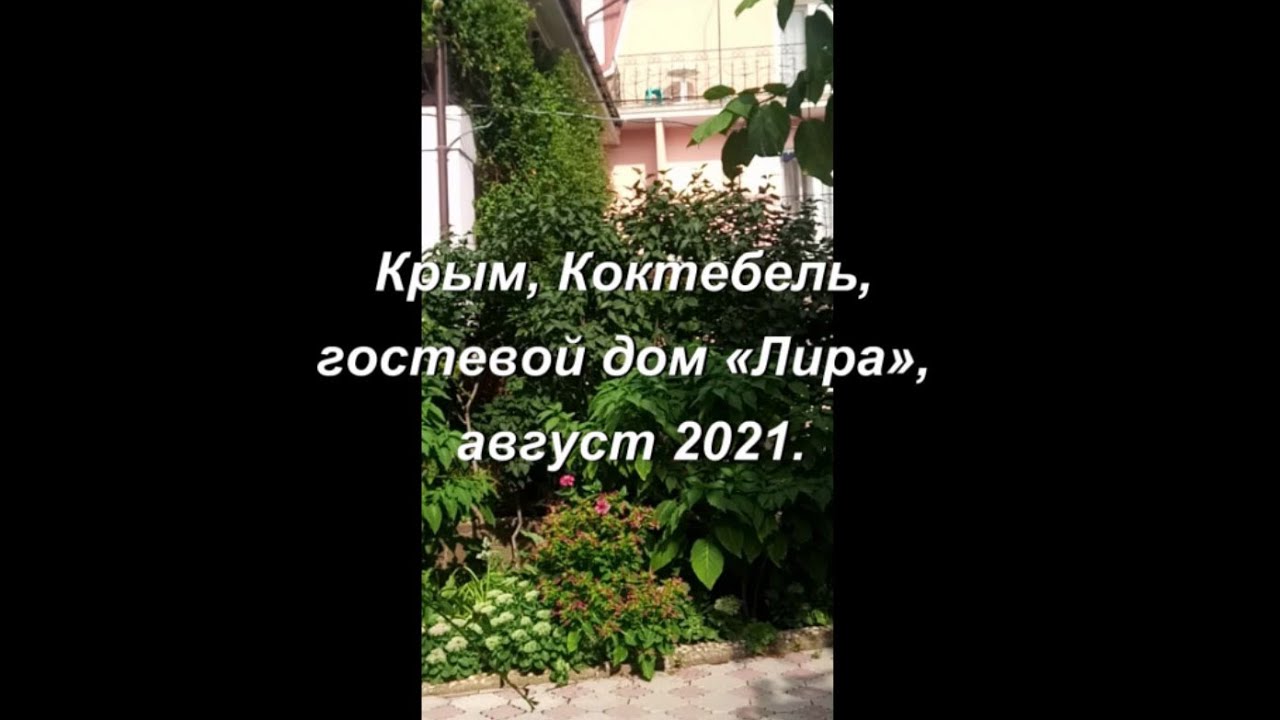 Коктебель, Крым, гостевой дом «Лира», август 2021 не загрузился смотреть онлайн