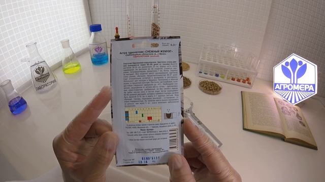 Астра Снежный Жемчуг. Артикул смотреть онлайн