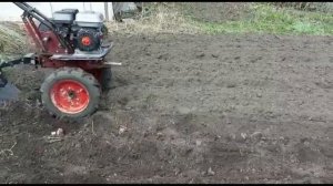Посадка картошки под мотоблок