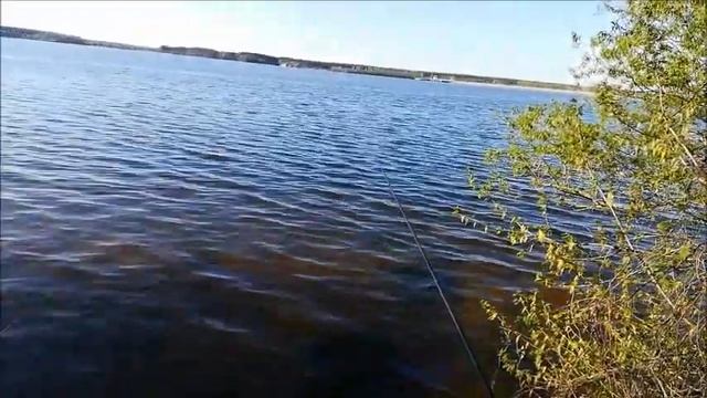 Рыбалка. Воронежское водохранилище. Пока не клюёт, 05 05 2021 смотреть онлайн